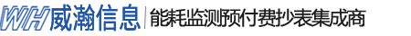 長沙威瀚信息技術有限公司